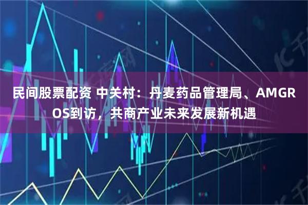 民间股票配资 中关村：丹麦药品管理局、AMGROS到访，共商产业未来发展新机遇