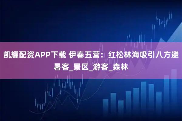 凯耀配资APP下载 伊春五营:红松林海吸引八方避暑客_景区_游客_森林