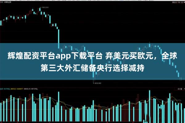 辉煌配资平台app下载平台 弃美元买欧元，全球第三大外汇储备央行选择减持